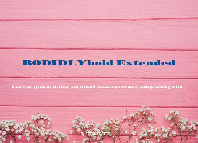 BODIDLYbold Extended example